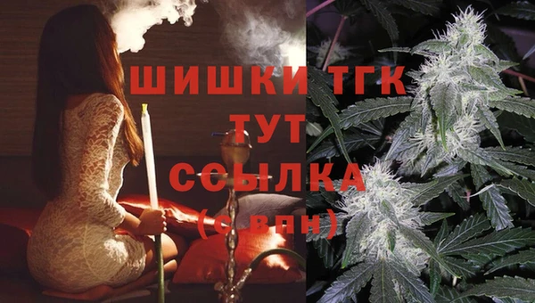 экстази Бородино