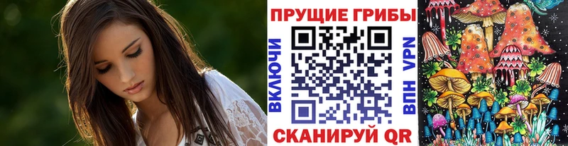 Купить где  Пионерский  Галлюциногенные грибы Psilocybine cubensis 