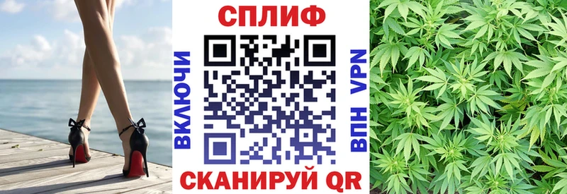 Купить закладки  Пионерский  Канабис AK-47 